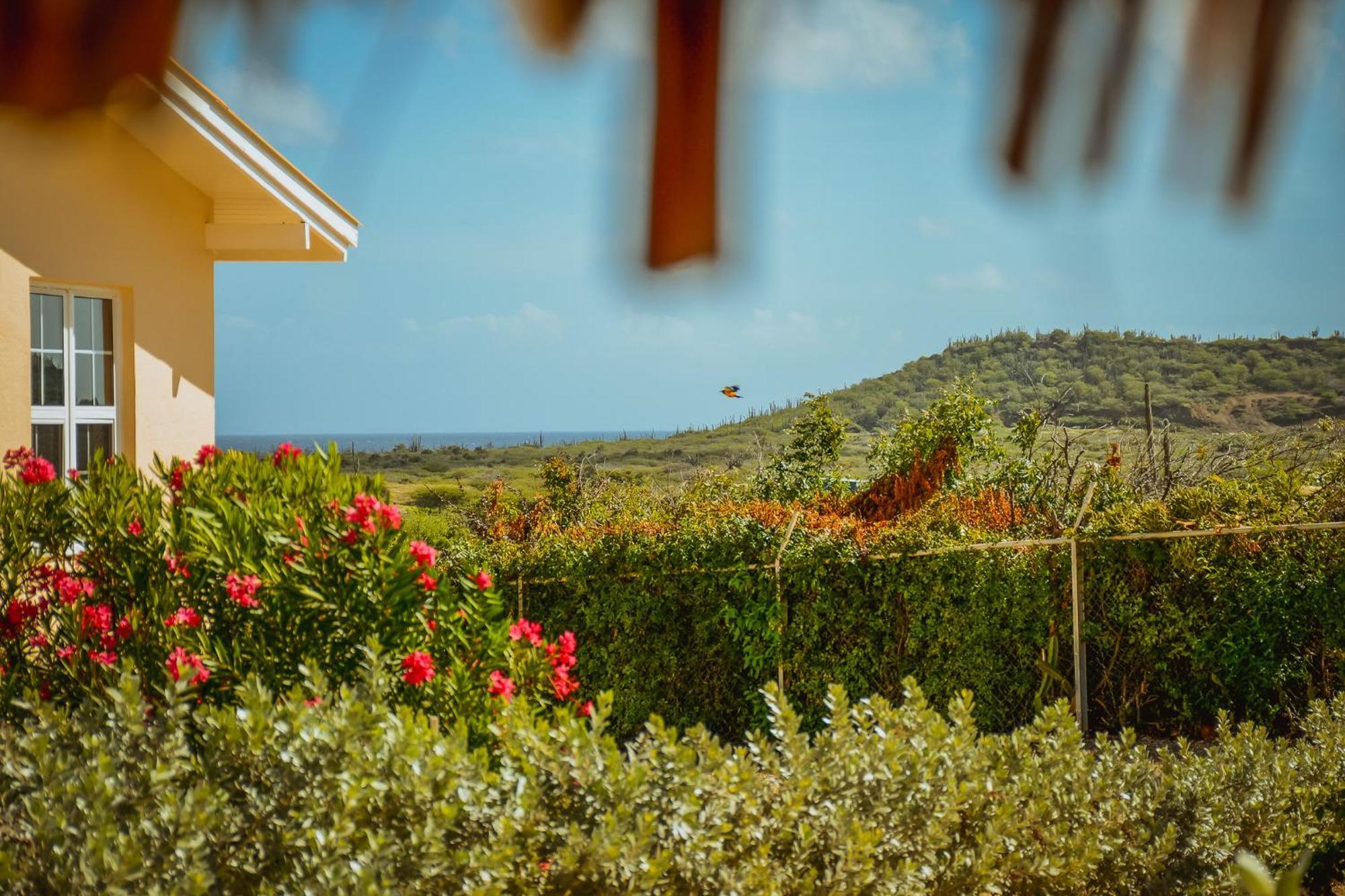 Santa Catharina Resort - Casa Samson Willemstad Eksteriør bilde